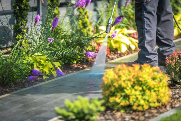 Trusted Pine Brook, NJ Pressure Washing Services Experts